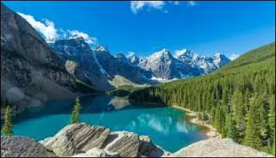 Qui a peint "Les Demoiselles d'Avignon" ?