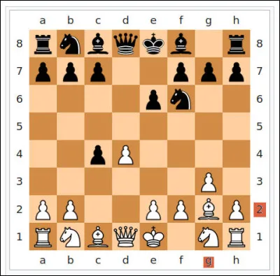 Technique de jeu > Comment appelle-t-on le développement des fous (en "g2" ou "d2" pour les blancs, "g7" ou "d7" pour les noirs) afin de contrôler les grandes diagonales ?