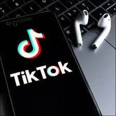 Le réseau social TikTok est japonais.