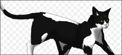 Qui est son apprenti ?