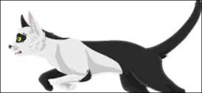 À quel groupe (non-clan) a-t-il appartenu pendant longtemps ?