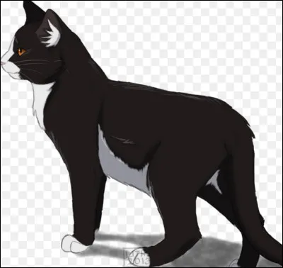 Et un autre groupe ?