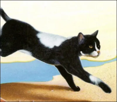 Quel événement se produit-il peu après sa nomination d'apprenti ?