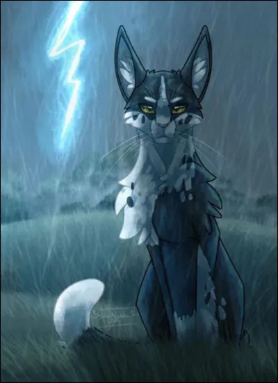 Qui est son mentor ?