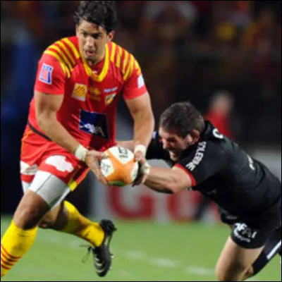 À quelles créatures le nom de l'équipe perpignanaise de rugby à XIII est-il associé ?