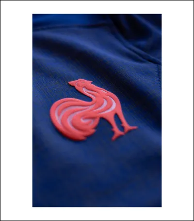 En quelle année le championnat de France de rugby à XV est-il passé au professionnalisme ?