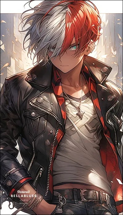De quelle couleur sont les cheveux de Shoto Todoroki ?