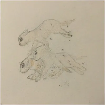 Celui qui vole est mort dans les mêmes circonstances. Cest