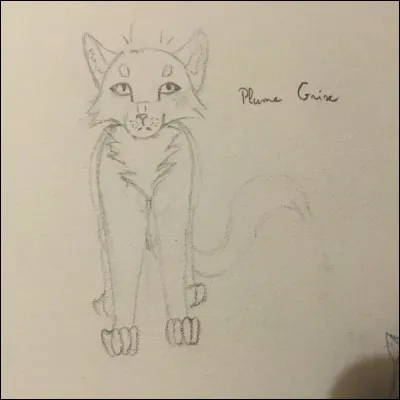 Voici Plume Grise. Combien a-t-il eu de compagnes ?