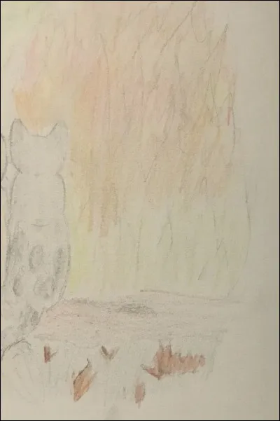 Et ce chat dans les flammes ?