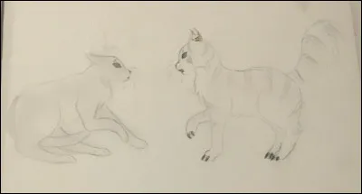 Qui est celle qui est en face de celle qui est en face de celle qui est en face de celle qui est en face de celle de droite ?