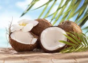 Quiz La noix de coco en culture gnrale