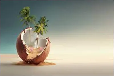 Sur quel océan se situent les îles Cocos ?