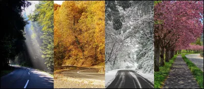 Parmi ces saisons, laquelle te correspond le plus ?