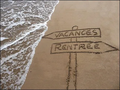 The Last question : Tu rentres de tes merveilleuses vacances, tu...