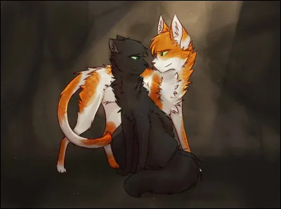 Comment est-elle décrite ?