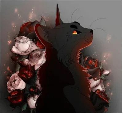 Qui est sa demi-sur ?