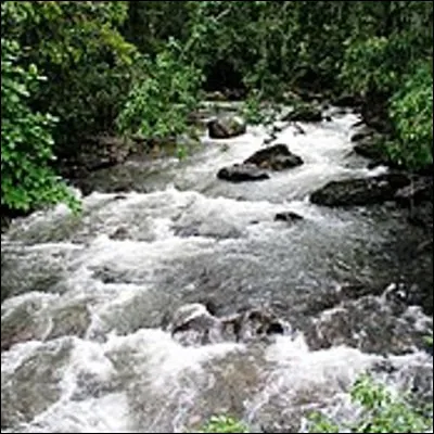 Quel poisson deau douce dénué décailles mesure en moyenne 1m50 ?