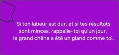 Et on clôt ce quiz par une petite citation. Quel écrivain et auteur dramatique a dit : ''Si ton labeur est dur, et si tes résultats sont minces, rappelle-toi qu'un jour le grand chêne a été un gland comme toi.'' ?