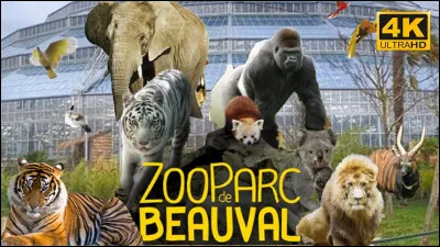 Où trouver des pandas en France ?