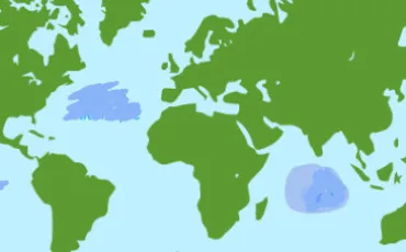 Quiz Ocean