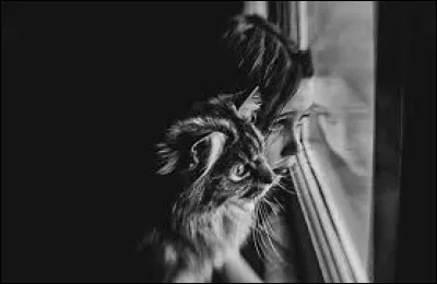 J'entends les bravos ou les lazzis [...] mon salon où la télé braille : les commentateurs décrivent les actions du match de foot.