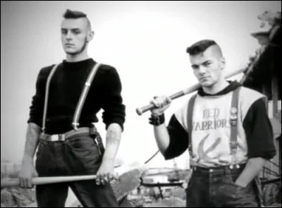 Quel est le nom du collectif de skinheads antiracistes qui sest formé en 1986 pour lutter contre les naziskins de Serge Ayoub ?