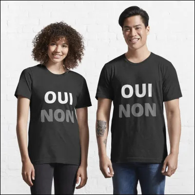 Qui chante "Oui ou non" ?