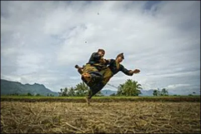 Le bersilat est un art martial pratiqué...