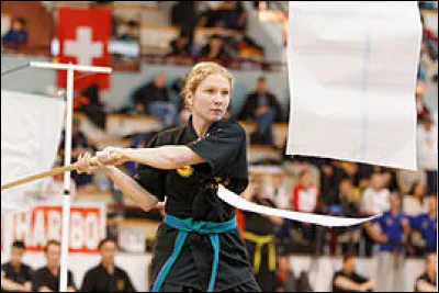 L'art martial du sabre coréen s'appelle...