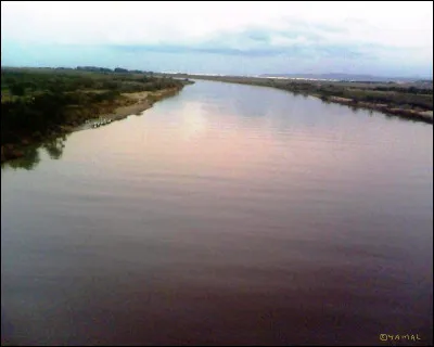 Quel pays traverse le fleuve la Moulouya, long de 600 km ?