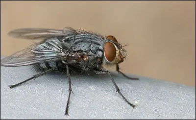 Que pouvez-vous faire de moi ?