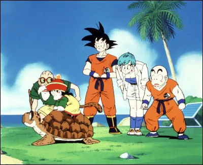 Comment Sangoku a-t-il rencontré Tortue Géniale ?