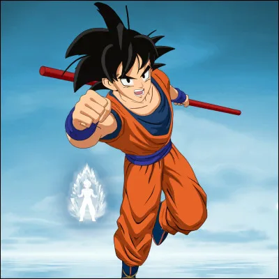 Quelle a été la première transformation de Sangoku ?