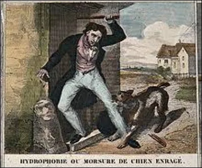 75 % des maladies humaines émergentes sont zoonotiques.