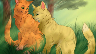 Quelle est la relation entre Étoile de Feu et Tempête de Sable ?