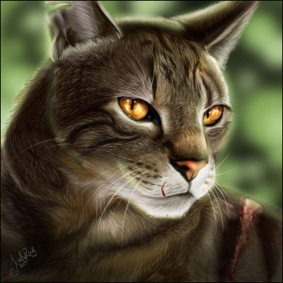 Qu'est-il arrivé à Griffe de Tigre après avoir été banni du Clan du Tonnerre ?