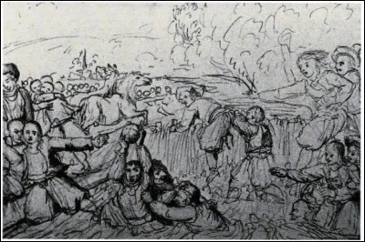 Dans son livre de 1956, comment est la pie pour Henri Vincenot ?