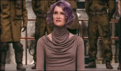 Quel est ce film d'action avec Dern ?