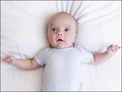 Comment appelle-t-on le creux présent sur le crâne d'un nourrisson ?