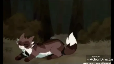 Quel est ton animal préféré entre ces quatre-là ?