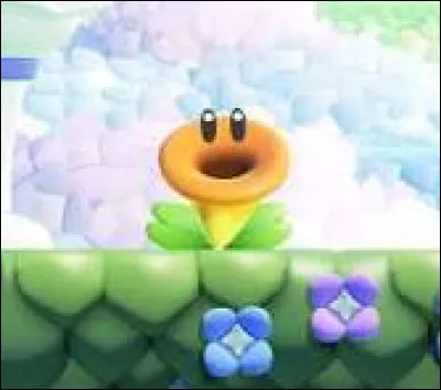 Comment s'appelle cette fleur ?