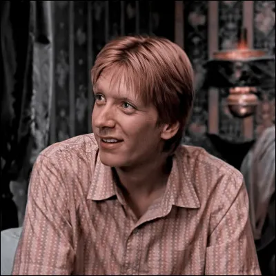 À cause de qui George perd-il son oreille ?