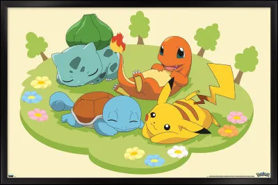 Quel est ton Pokémon préféré ?