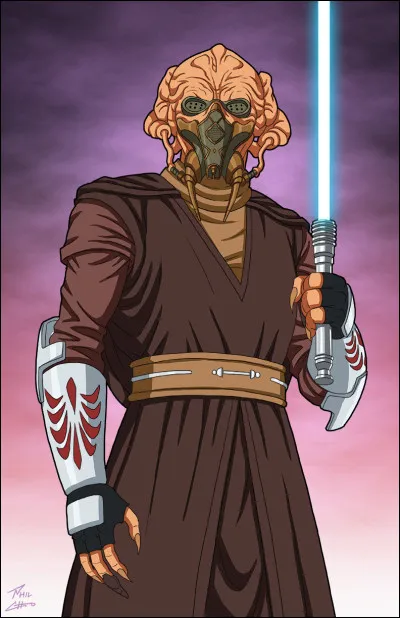 Que faisait Plo Koon quand il fut tué par ses troupes durant l'Ordre 66 ?