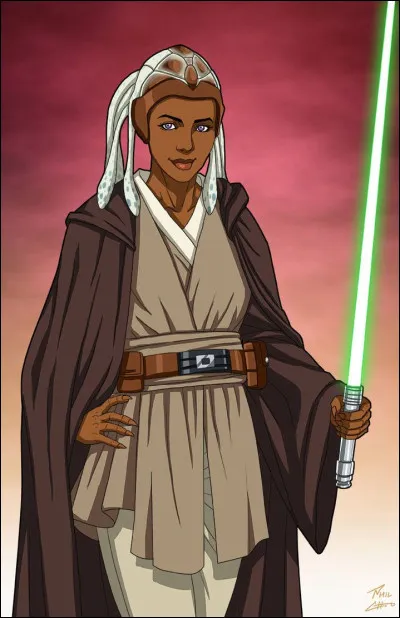 Quel était le modèle de la motojet que pilotait Stass Allie lorsqu'elle fut abattue par ses clones durant l'ordre 66 ?