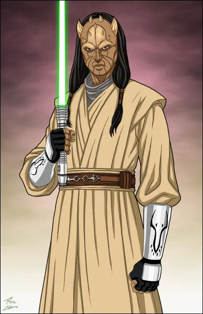 Après l'ordre 66, les Jedis sont contraints de se cacher. Ils sont traqués par les forces de l'Empire. D'ailleurs, Eeth Koth se retrouve face à d'anciens Jedis ayant rejoint l'Empire. Comment se nomme ces Jedis renégats ?