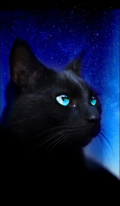 Quel est ton élément (3) ?