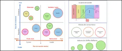 En conclusion, la matrice BCG permet de prioriser les efforts sur les produits ou activités ayant le plus grand impact sur la rentabilité globale de l'entreprise.