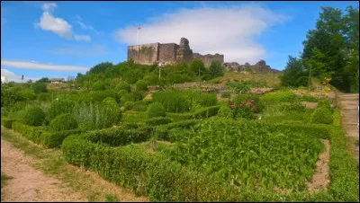 Dans quel département la ville d'Épinal est-elle située ?